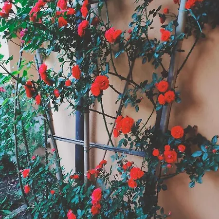 Bed and breakfast Claudia Lavena Ponte Tresa