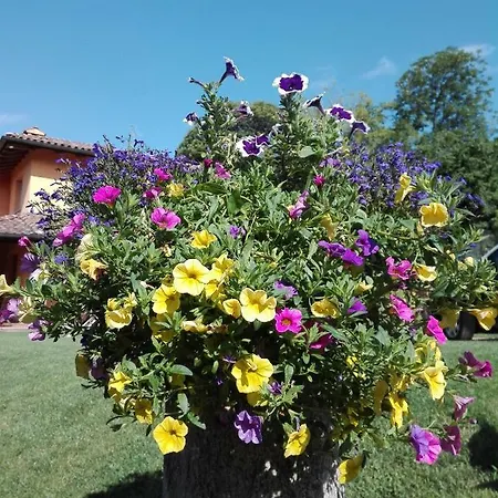 Claudia Bed & Breakfast